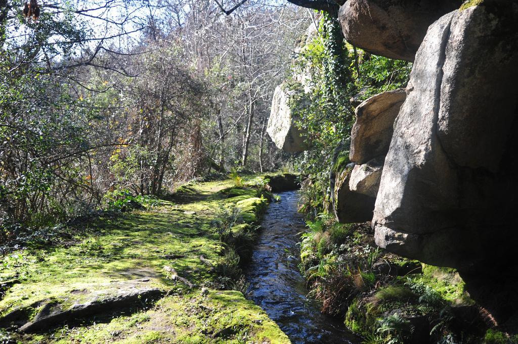 مبيت وإفطار La Forge De Montolieu المظهر الخارجي الصورة