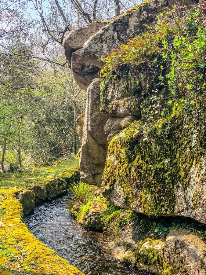 مبيت وإفطار La Forge De Montolieu المظهر الخارجي الصورة