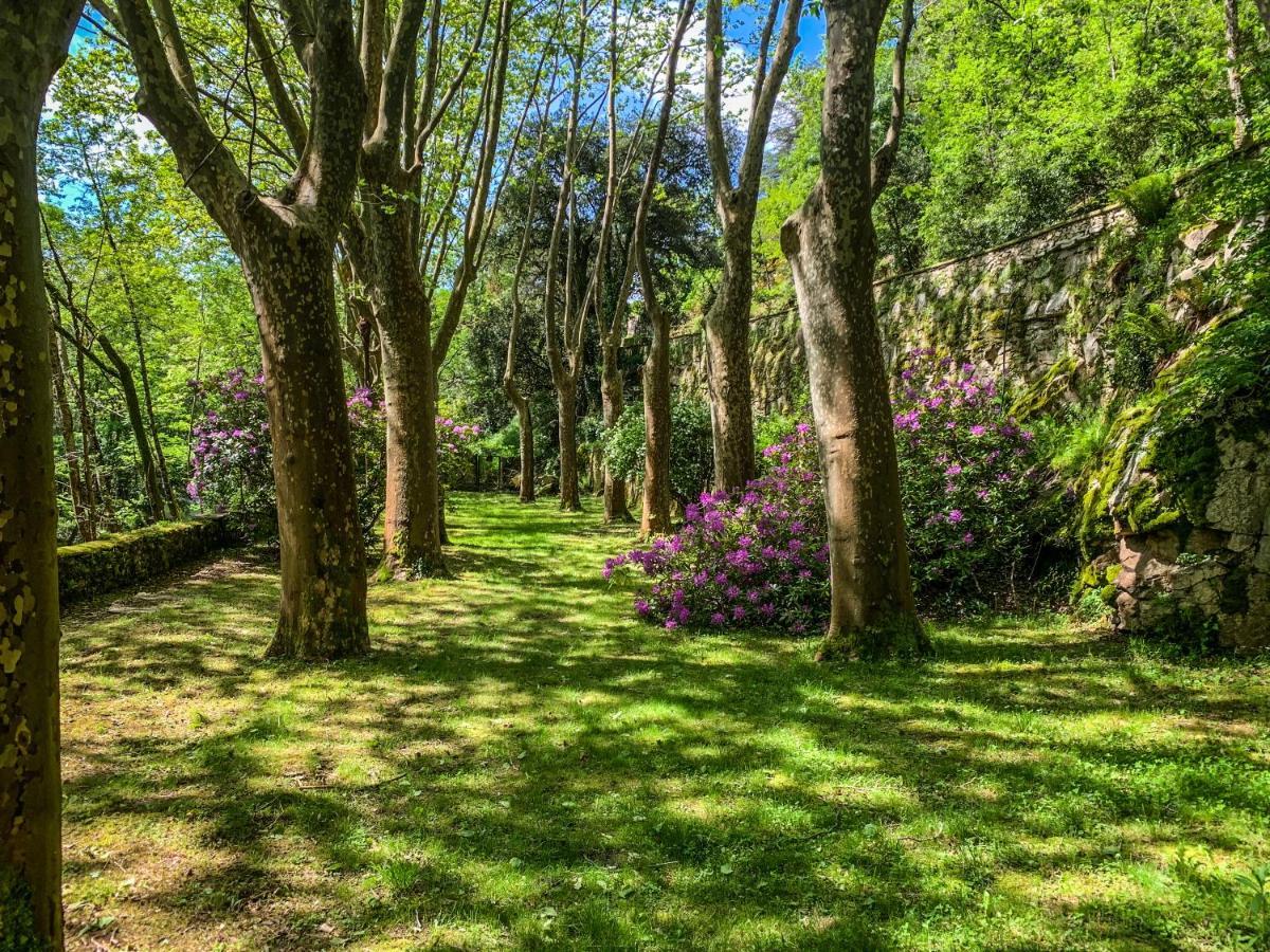 مبيت وإفطار La Forge De Montolieu المظهر الخارجي الصورة